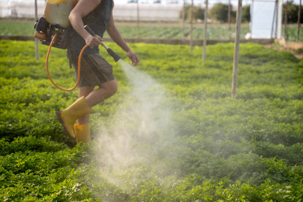 Best Pest Control Near Me  in Doa Ana, NM